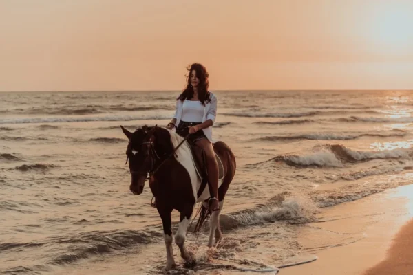 Horse Back Riding