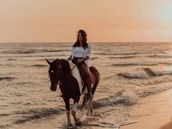 Horse Back Riding