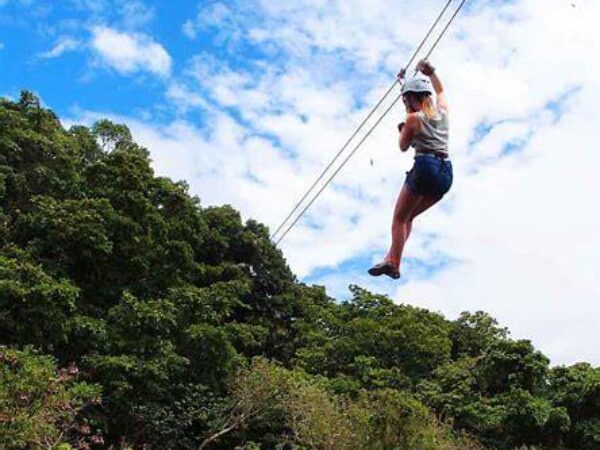 Sabeto Zipline & Village Tour